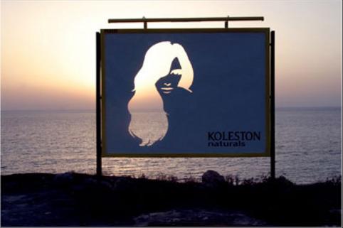 咸寧戶(hù)外廣告